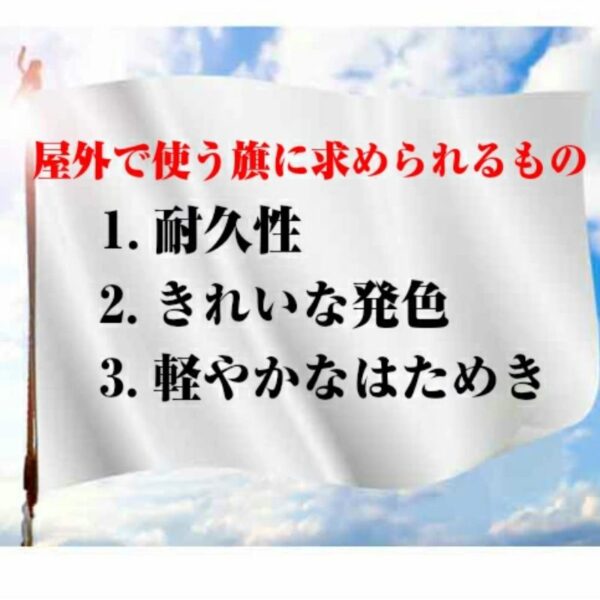 オーダー旗 トロマット 両面 - 画像 (4)