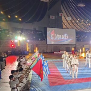 外国旗テトロンポンジ