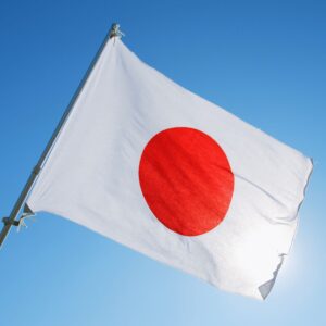 日本国旗テトロンポンジ